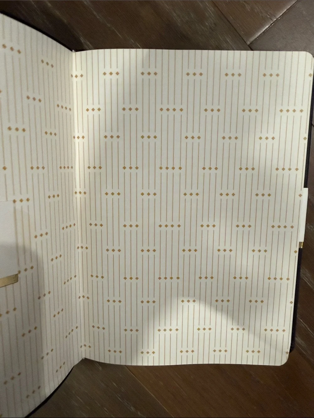 Papyrus Black Notebook with Ivory Pages and Gold Dot Pattern 7x9.5 240 pages